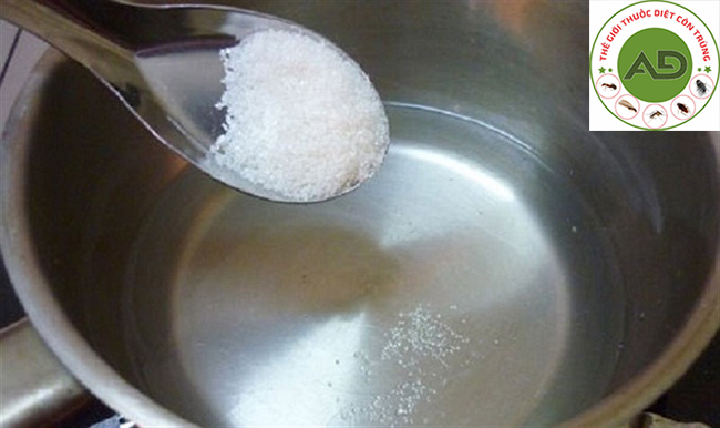 5. Sử dụng nước đường để diệt gián hiệu quả