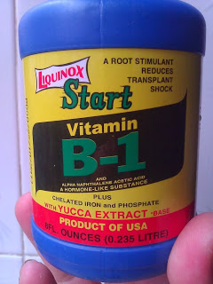 Vitamin B1 235ml - Giúp Cây Lan Bén Rễ (hàng Mỹ)